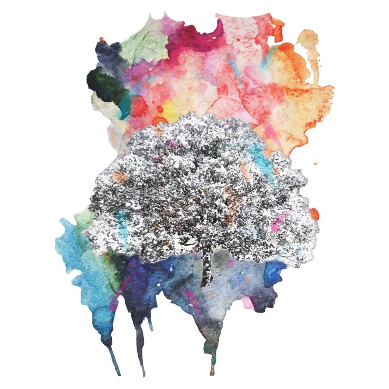 Explosion de couleur