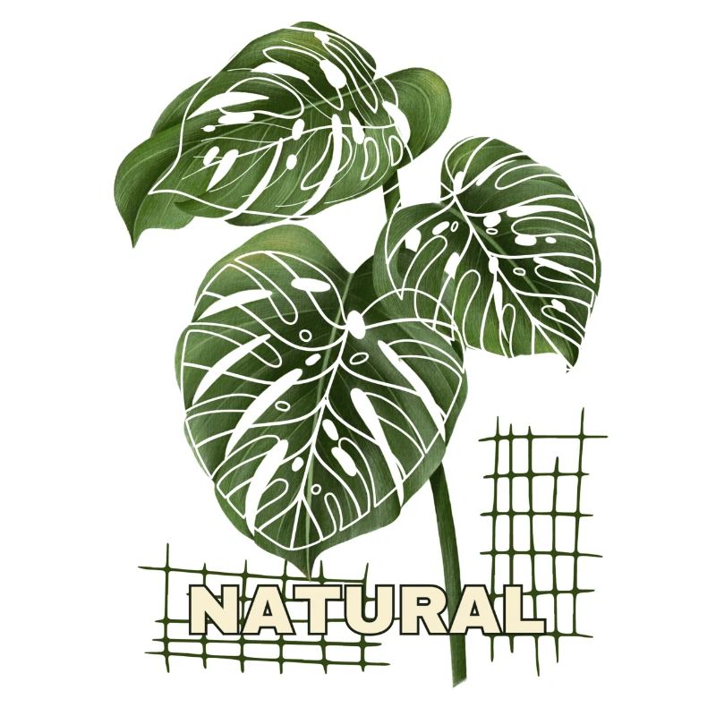NATUREL - Proche de la nature, tout simplement élégant
