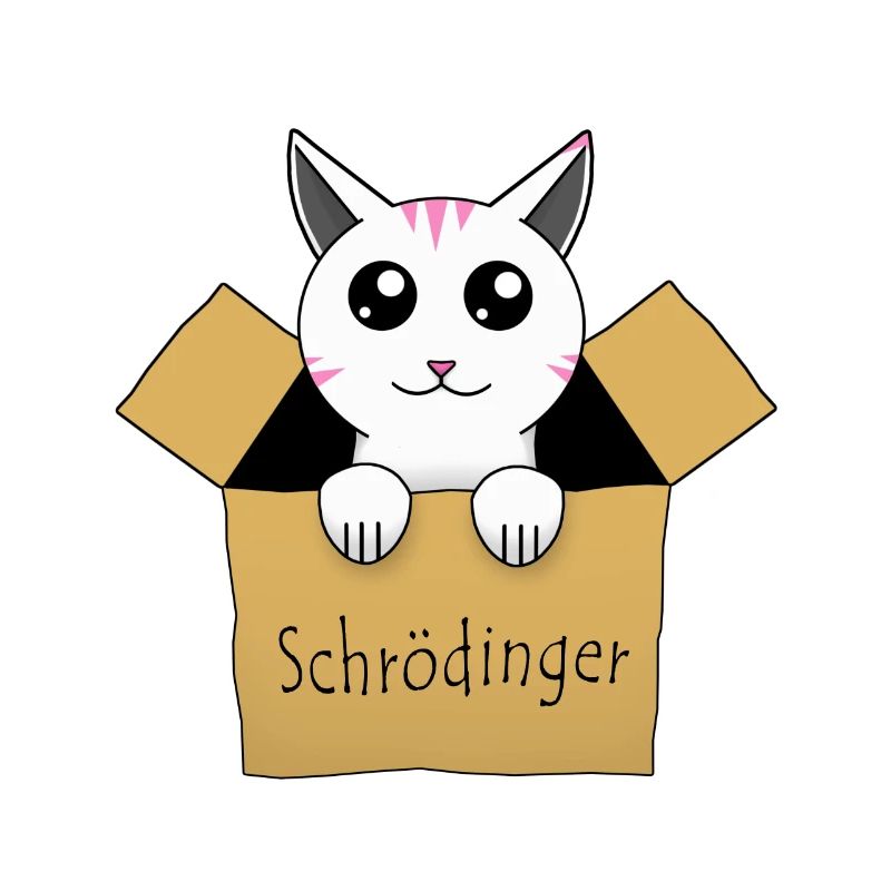 Le chat de Schrödinger dans une boîte