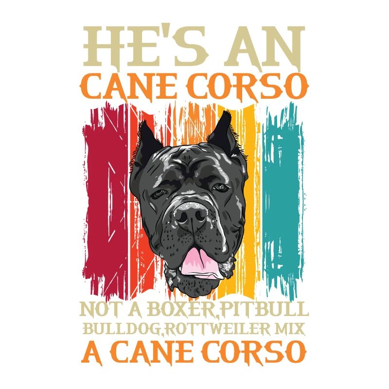 Cane Corso for a Cane Corso owner Cane