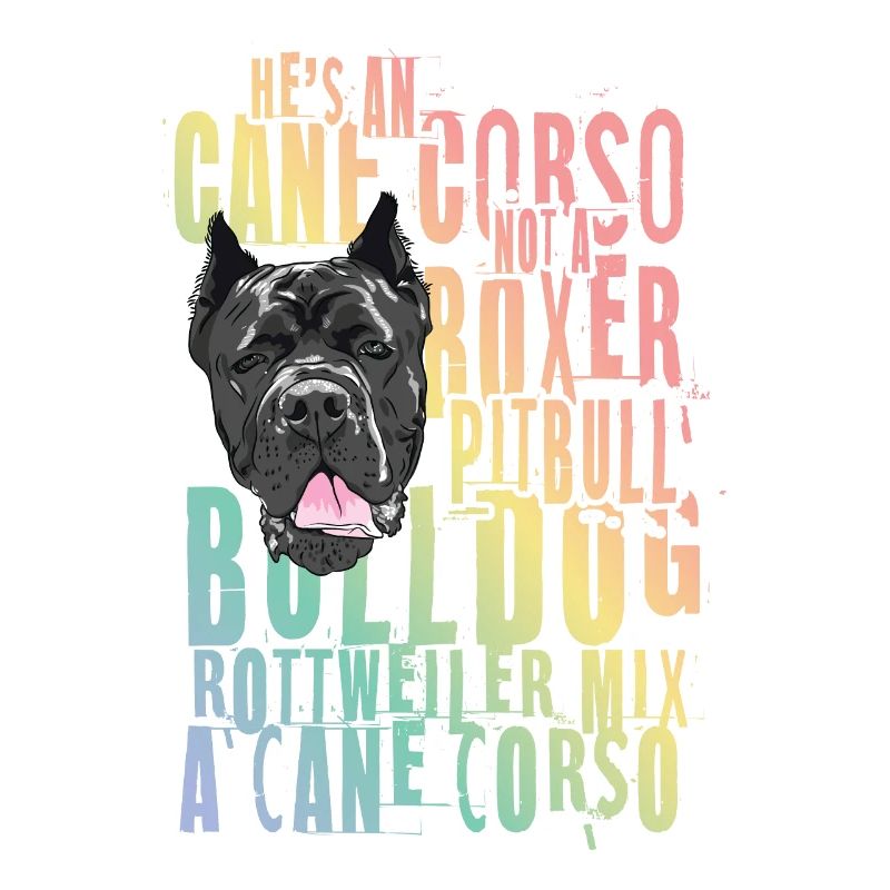 Cane Corso für einen Cane Corso Besitzer Cane