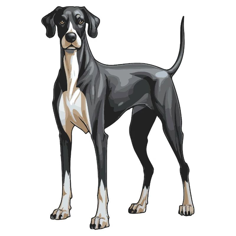 Great Dane Dog