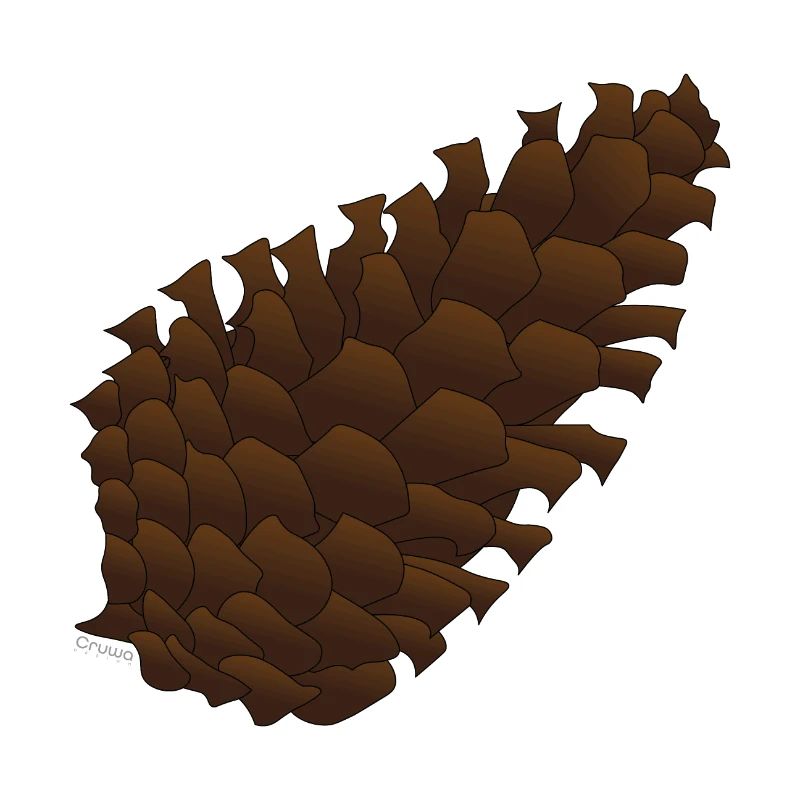cone