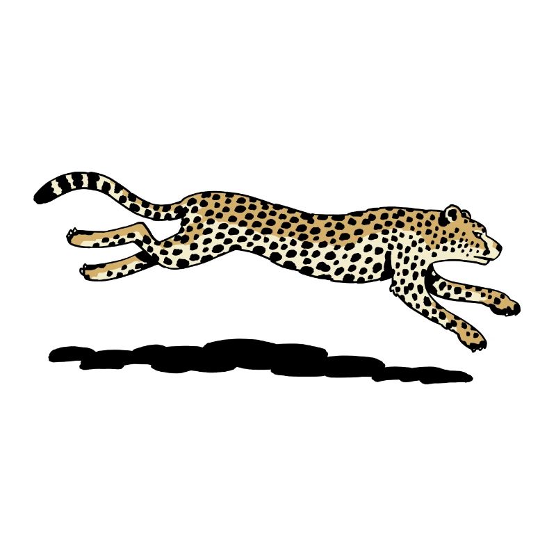 Gepard