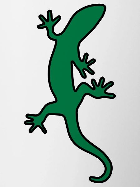 Lizard Salamander gecko