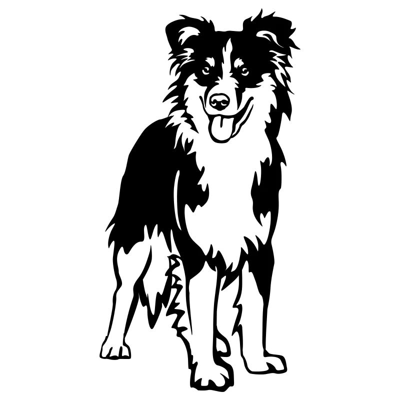 Australian Shepherd