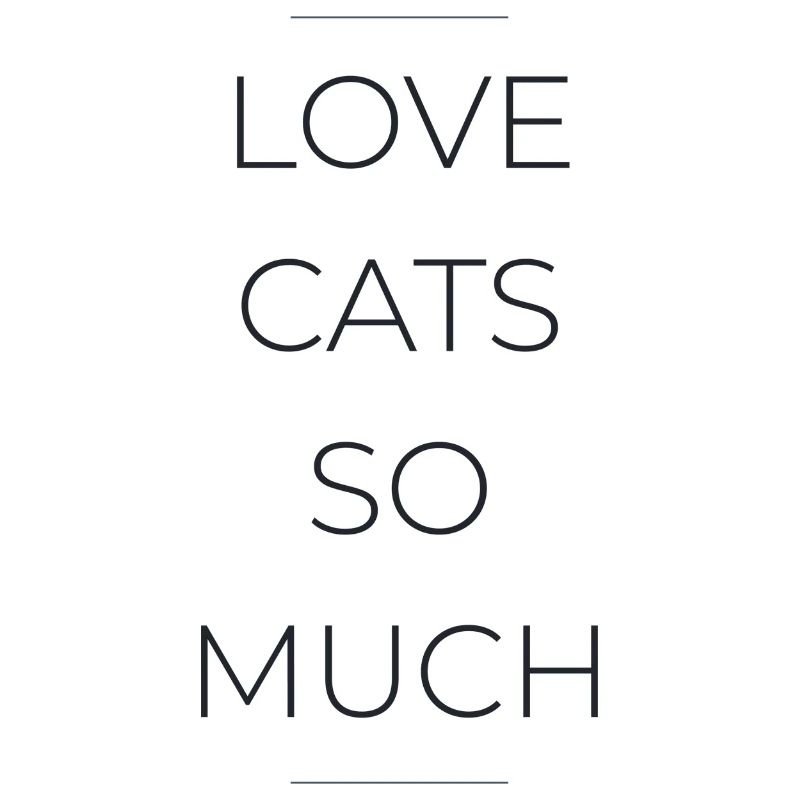 J’aime tellement les chats – Déclaration minimaliste