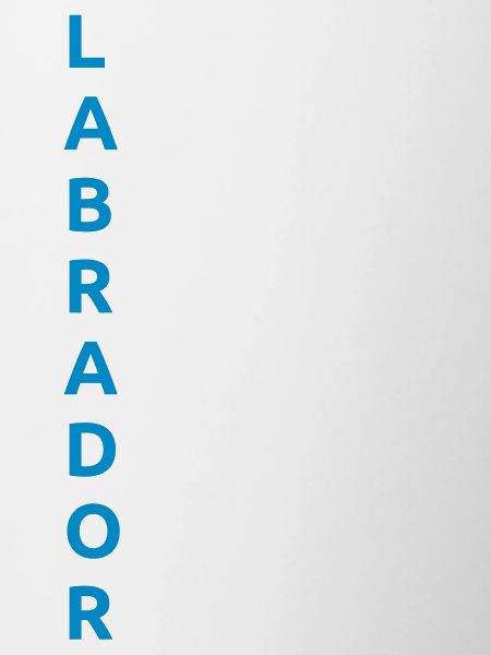 Labrador Eigenschaften Spruch