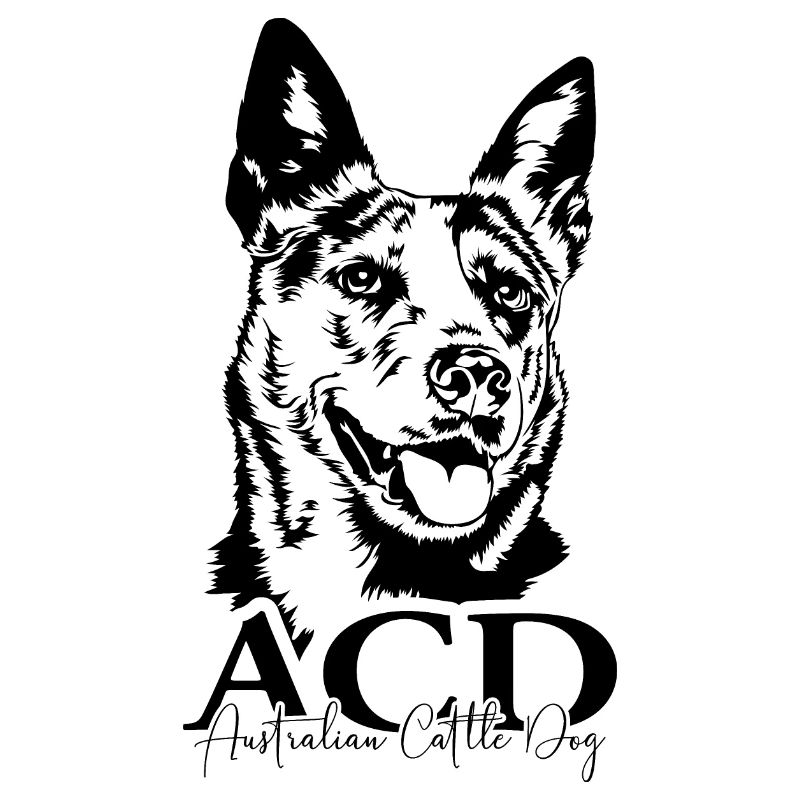 AUSTRALIAN CATTLE DOG Hunde Portrait Hund Wilsigns