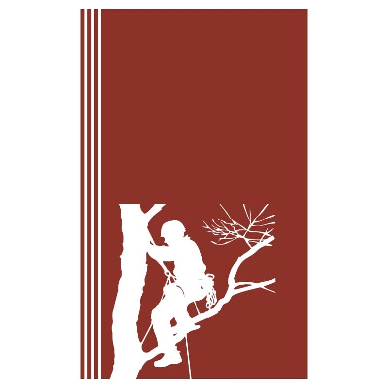 Baumklettern Klettern