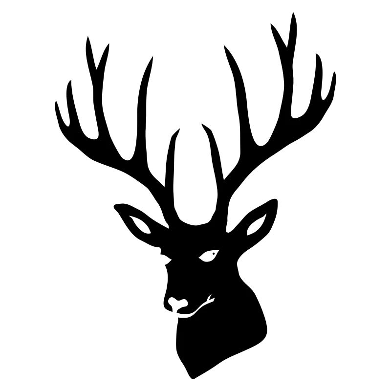 Hirsch Geweih Hirschgeweih Hirschkopf