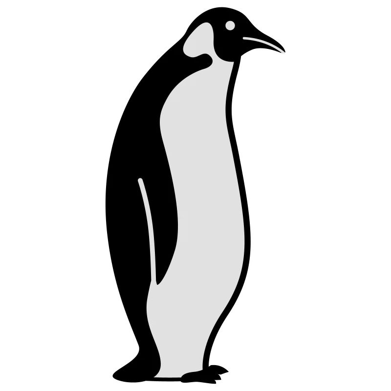 Pinguin pinguïn