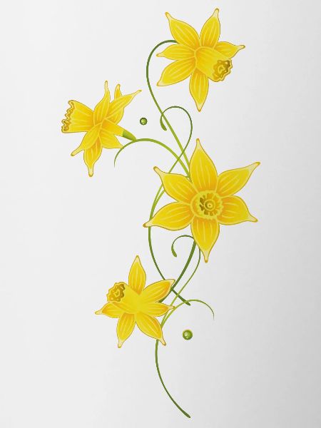 Osterglocken Narzissen Frühling