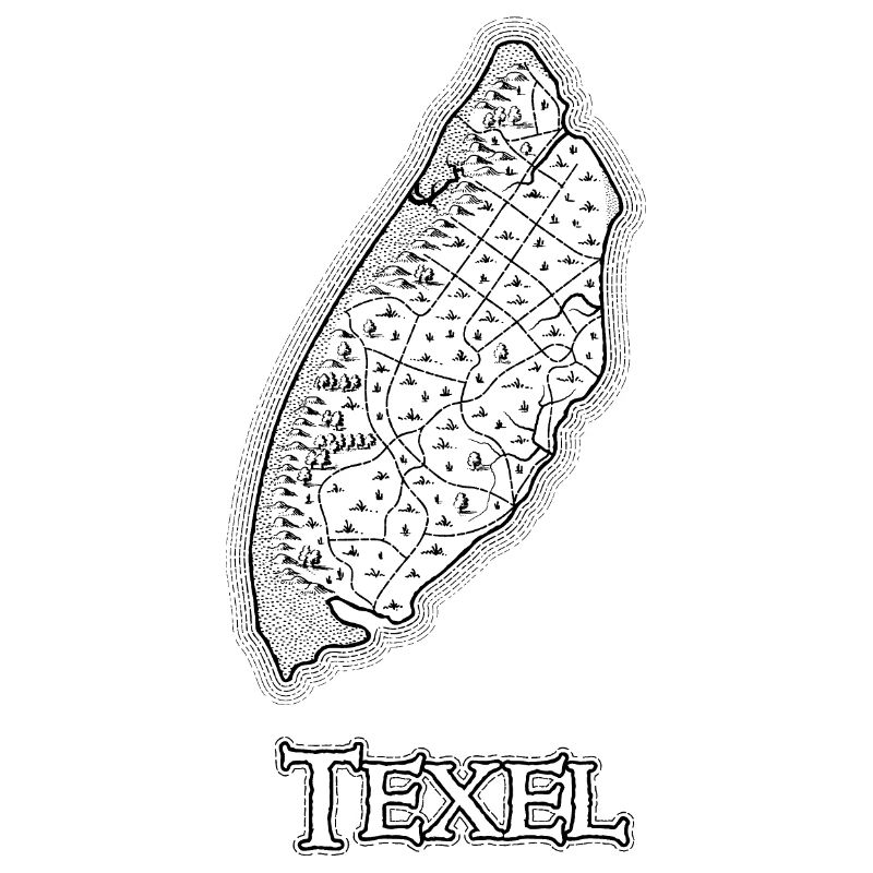 Texel | Antique map | Treasure map