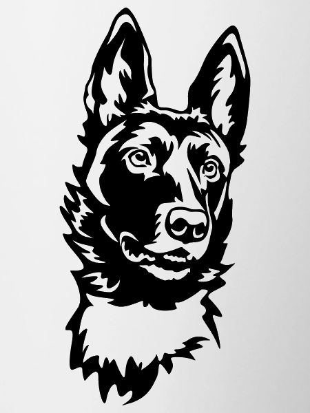 Malinois Kopf