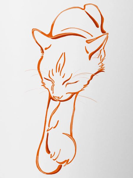 Sleeping cat