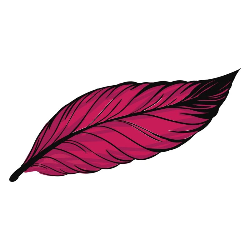 feather