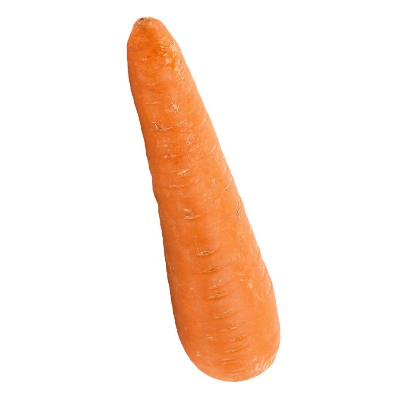 Gulrot gulrot mörchen