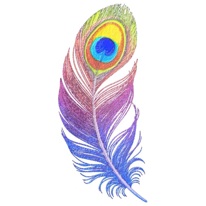 Rainbow Feather: Style and Creativity on Your T-Sh
