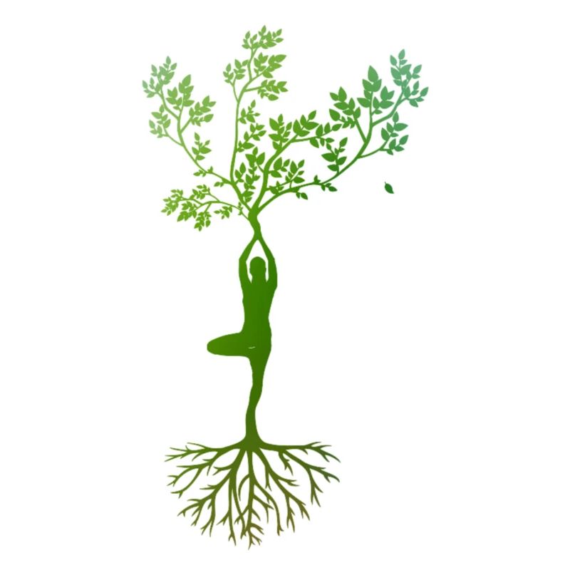 Vrksasana Yoga Tree Pose