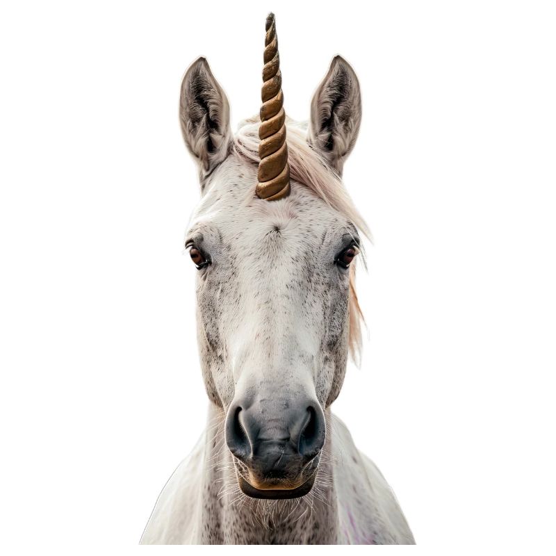Licorne
