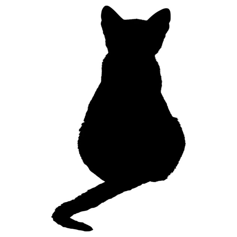 Katze Kätzchen Katzenshirt Geschenk