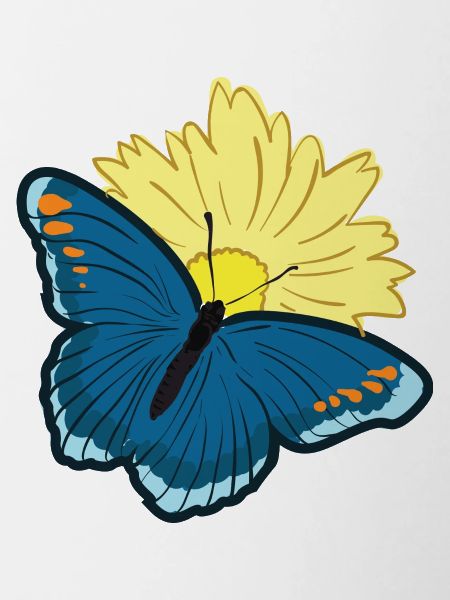Butterfly Butterfly Wing Butterfly