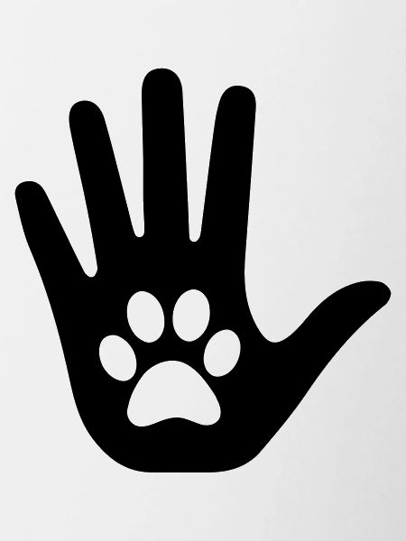 Hand with paw