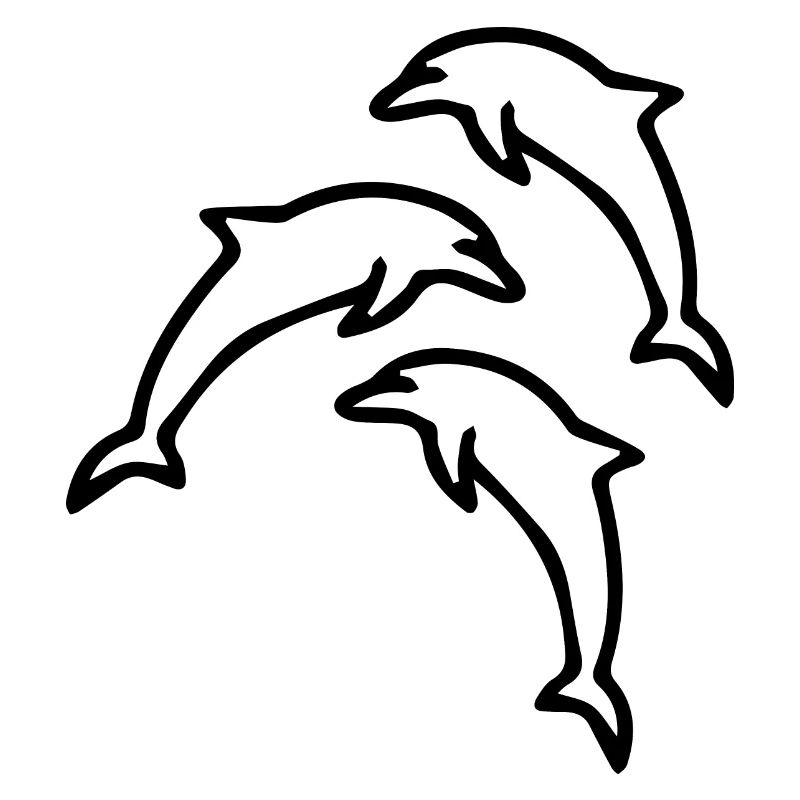 Dolphin dolphins