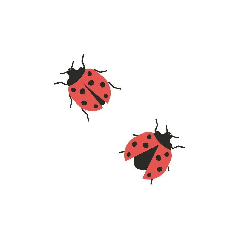 ladybugs