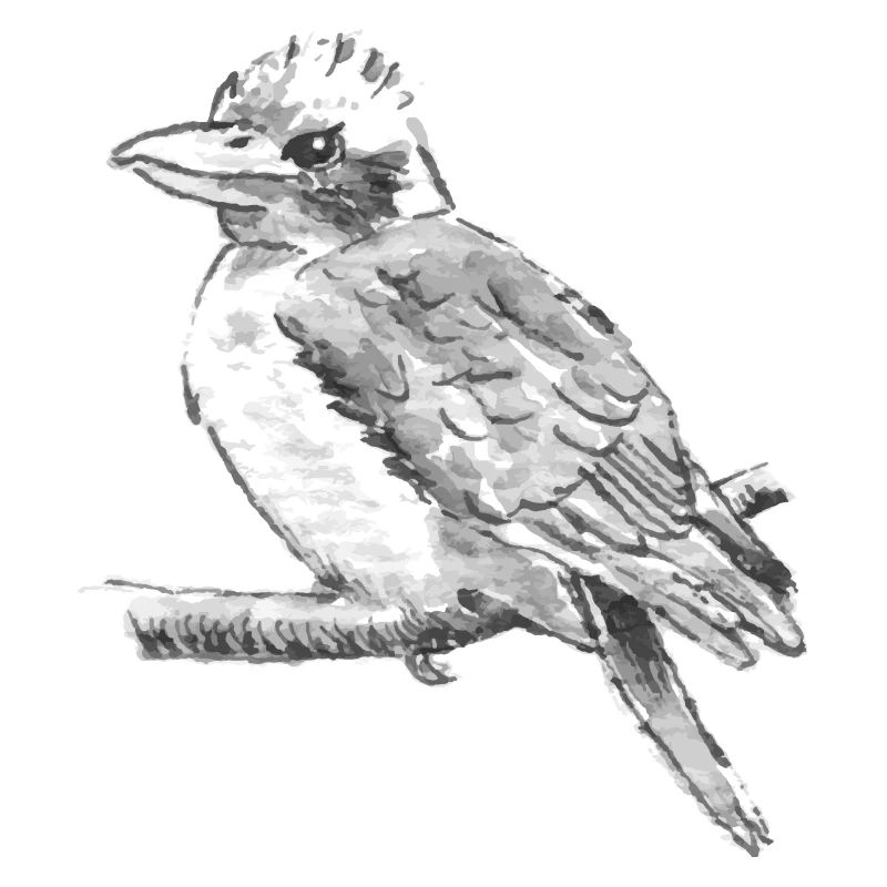 Vogel