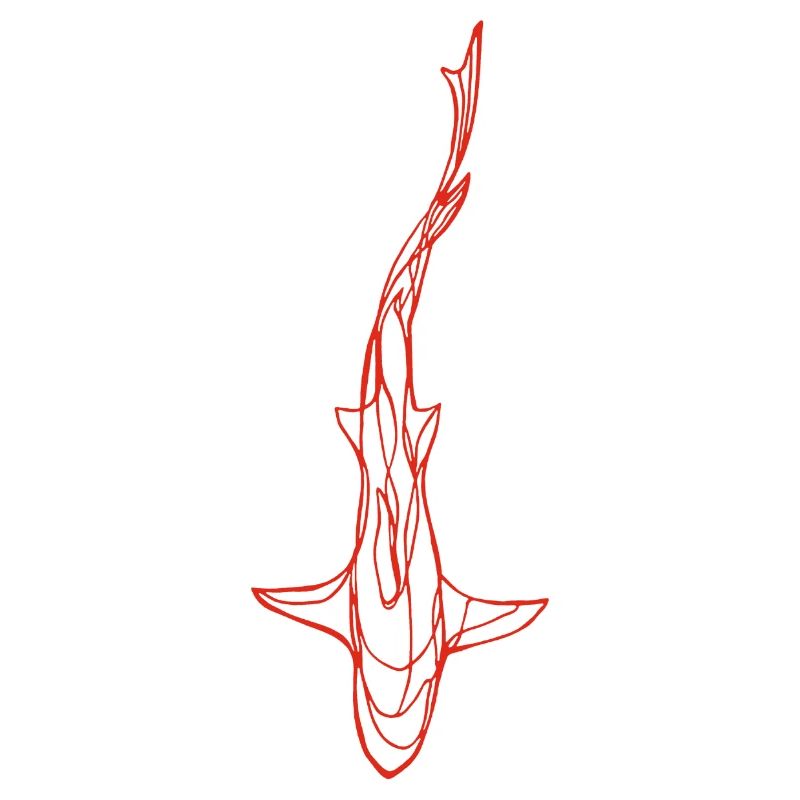 Silhouette de requin rouge