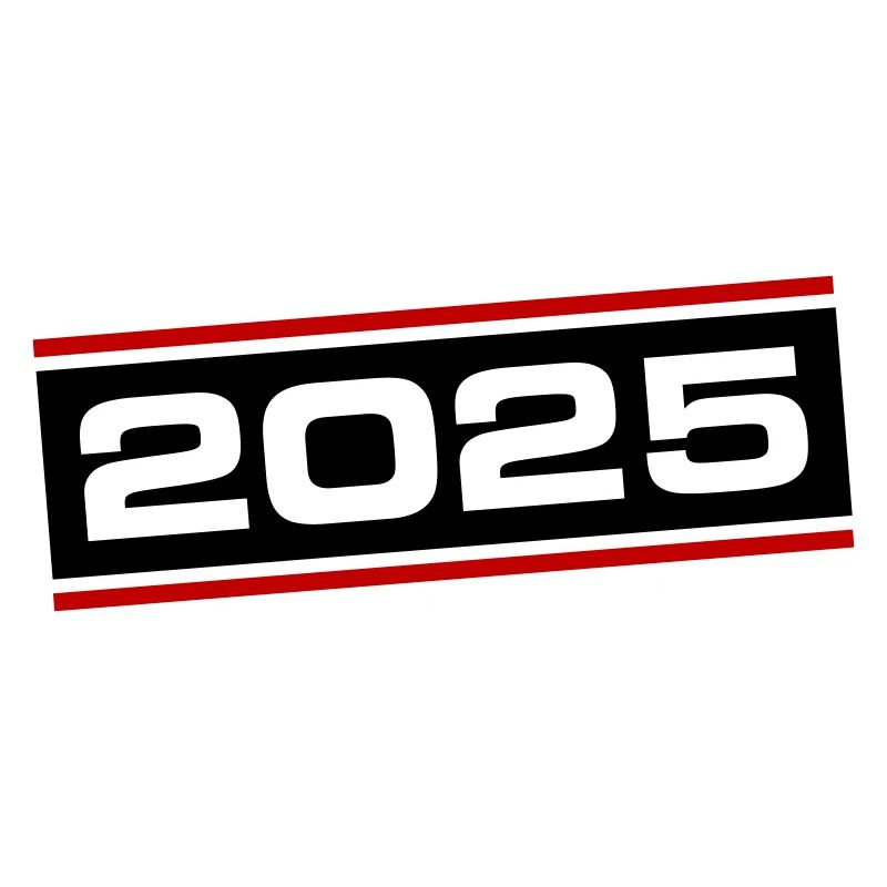2025 year