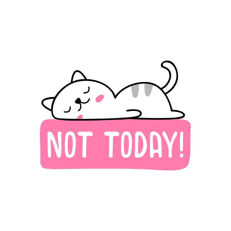 Katzendesign "NOT TODAY"