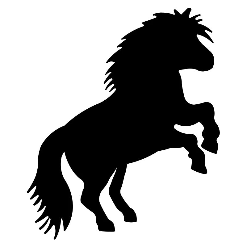 SHETLANDPONY
