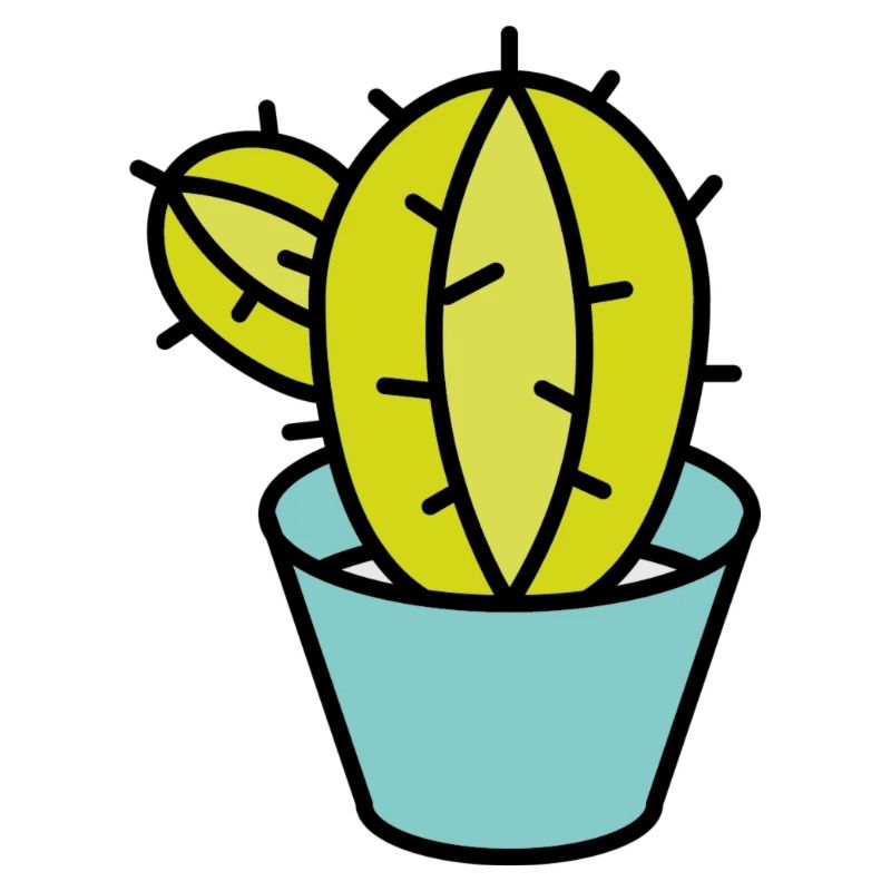 Petit cactus vert en pot