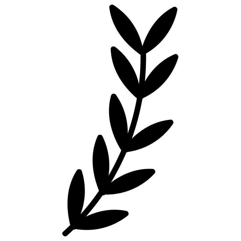 Branch branch leaf leaves plant nature shrub branches