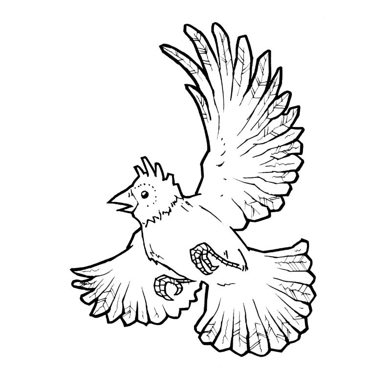 Chamaeleonvogel