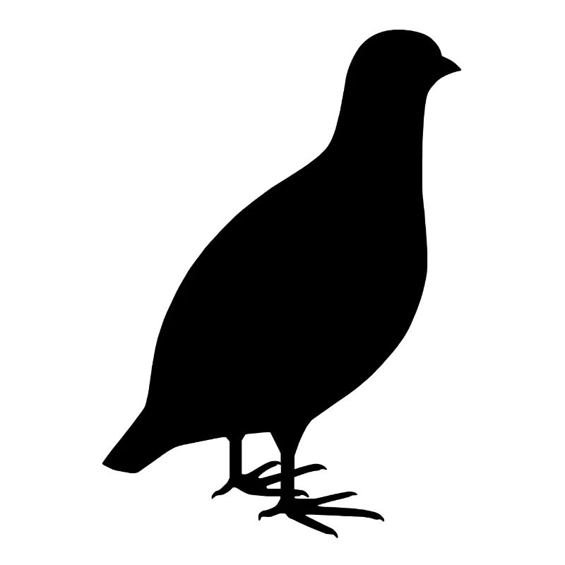 Perdrix