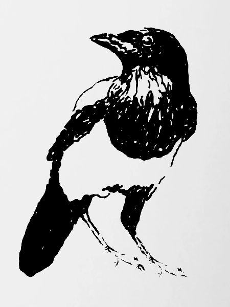 Magpie Bird * Jack Joblin Design