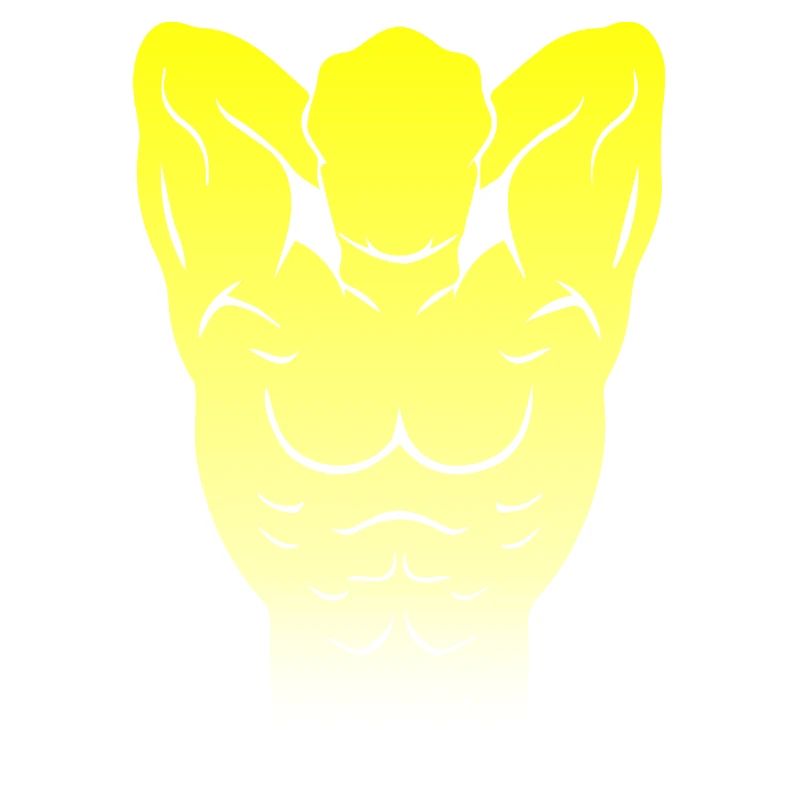 Musculation