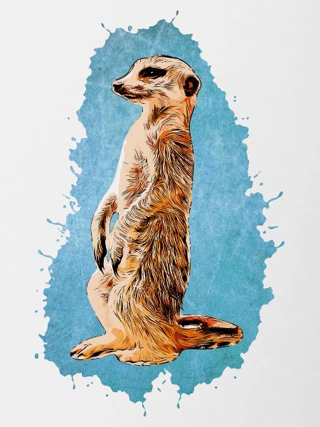 Erdmännchen - Blau