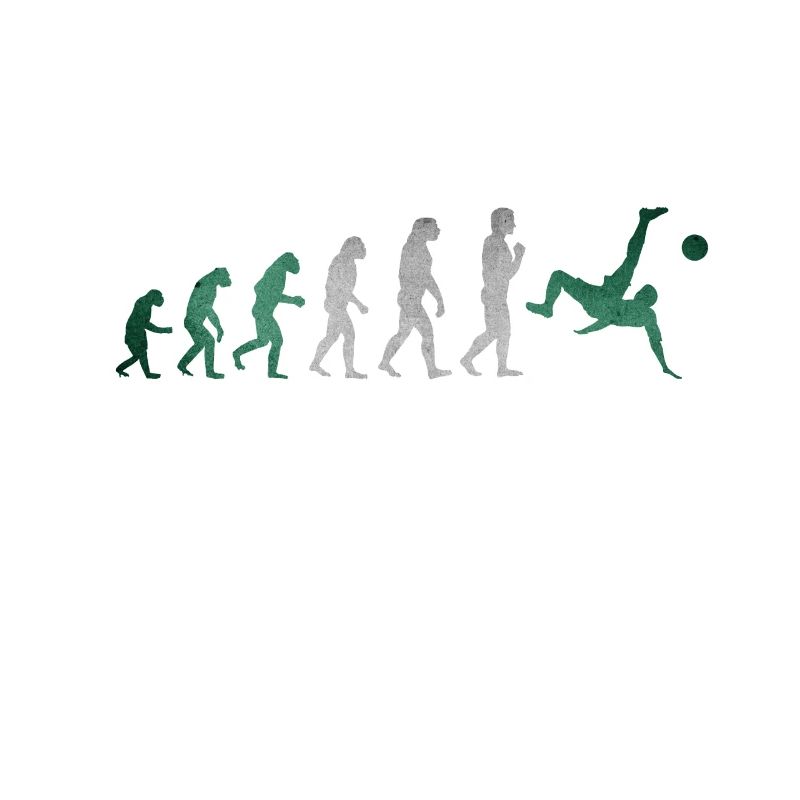 Evolution Fußball Nigeria