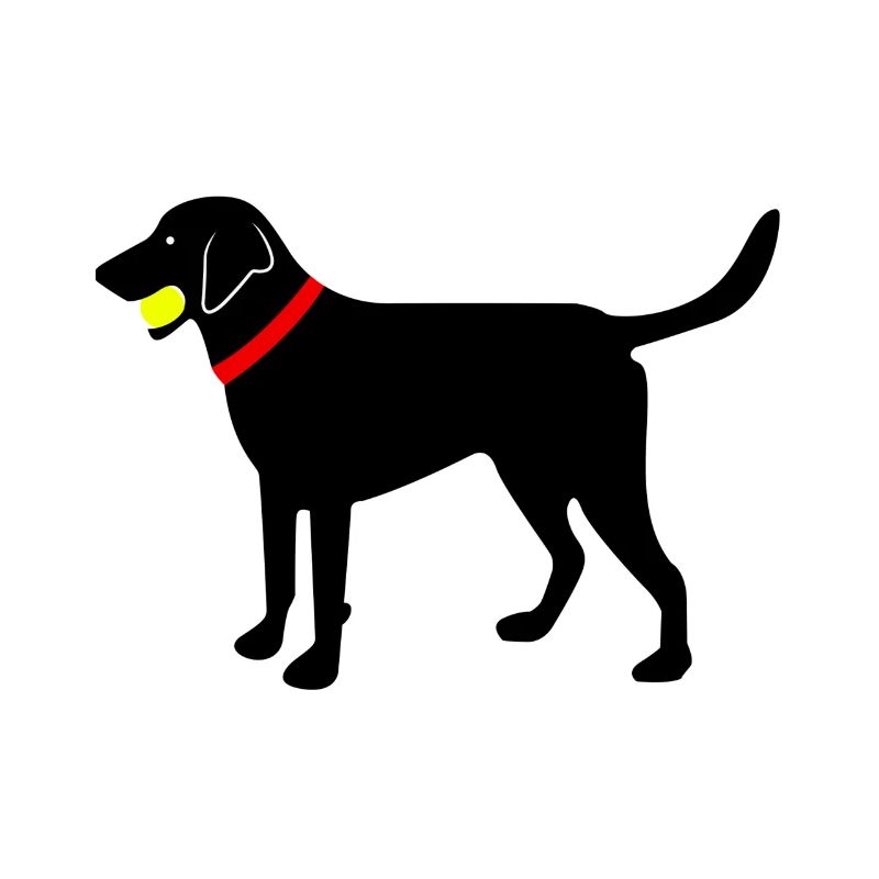 Labrador