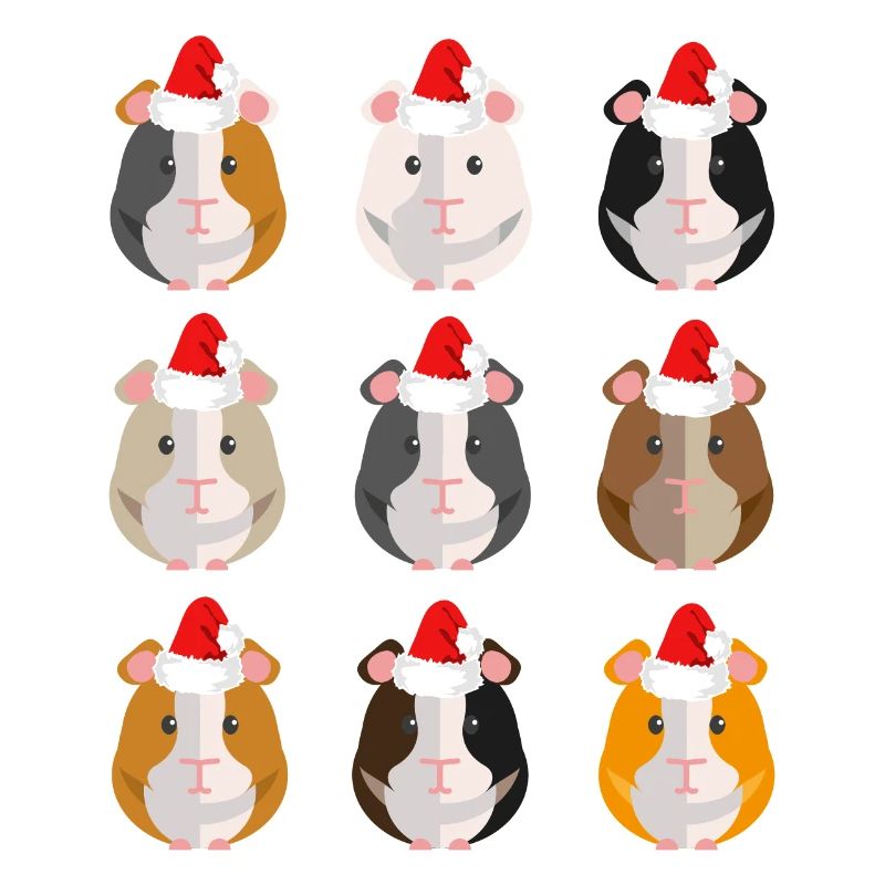 Chapeau de Noel Noel de Cochon d'Inde