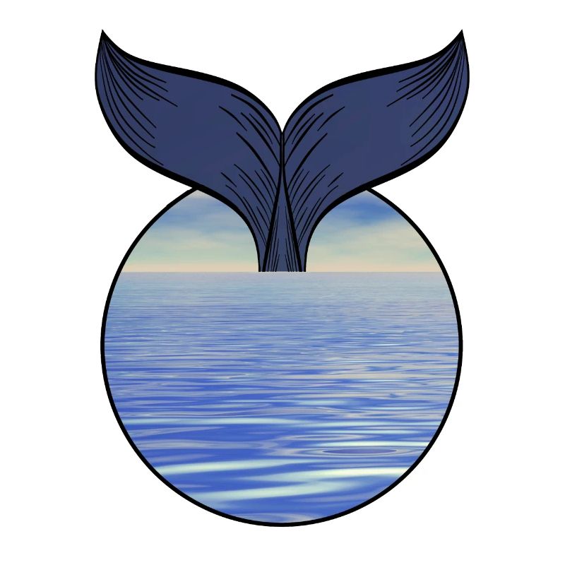 Whale fin
