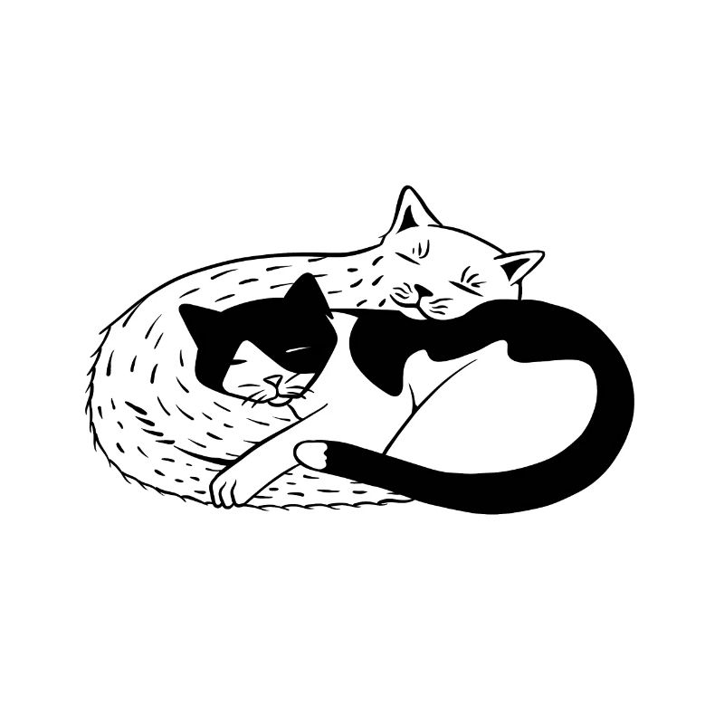 Feline