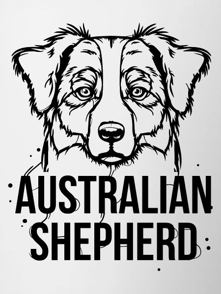 Australian Shepherd