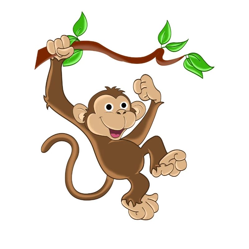 Drôle de singe