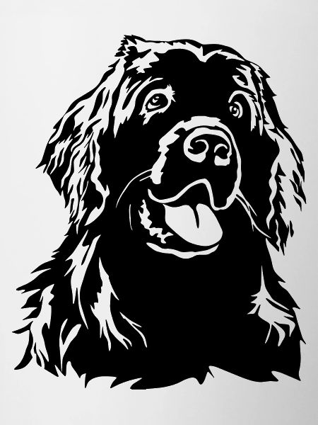 Newfoundland head